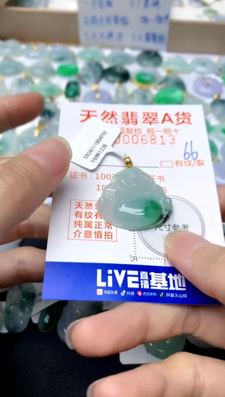 【闪购商品】翡翠颈饰18K金镶嵌66天然A货翡翠