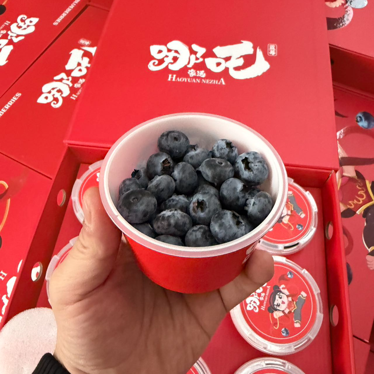 【脆甜花香】云南哪吒蓝莓大果礼盒装香 整箱900g 新疆包邮