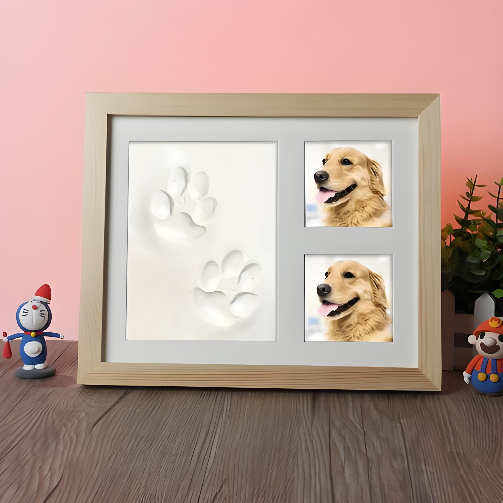 相册定制直播链接