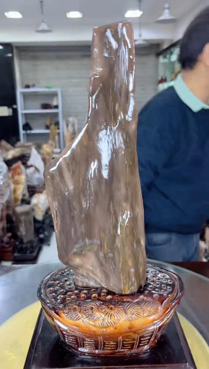 【闪购商品】硅化玉珠宝奇石未镶嵌缅甸天然树化玉