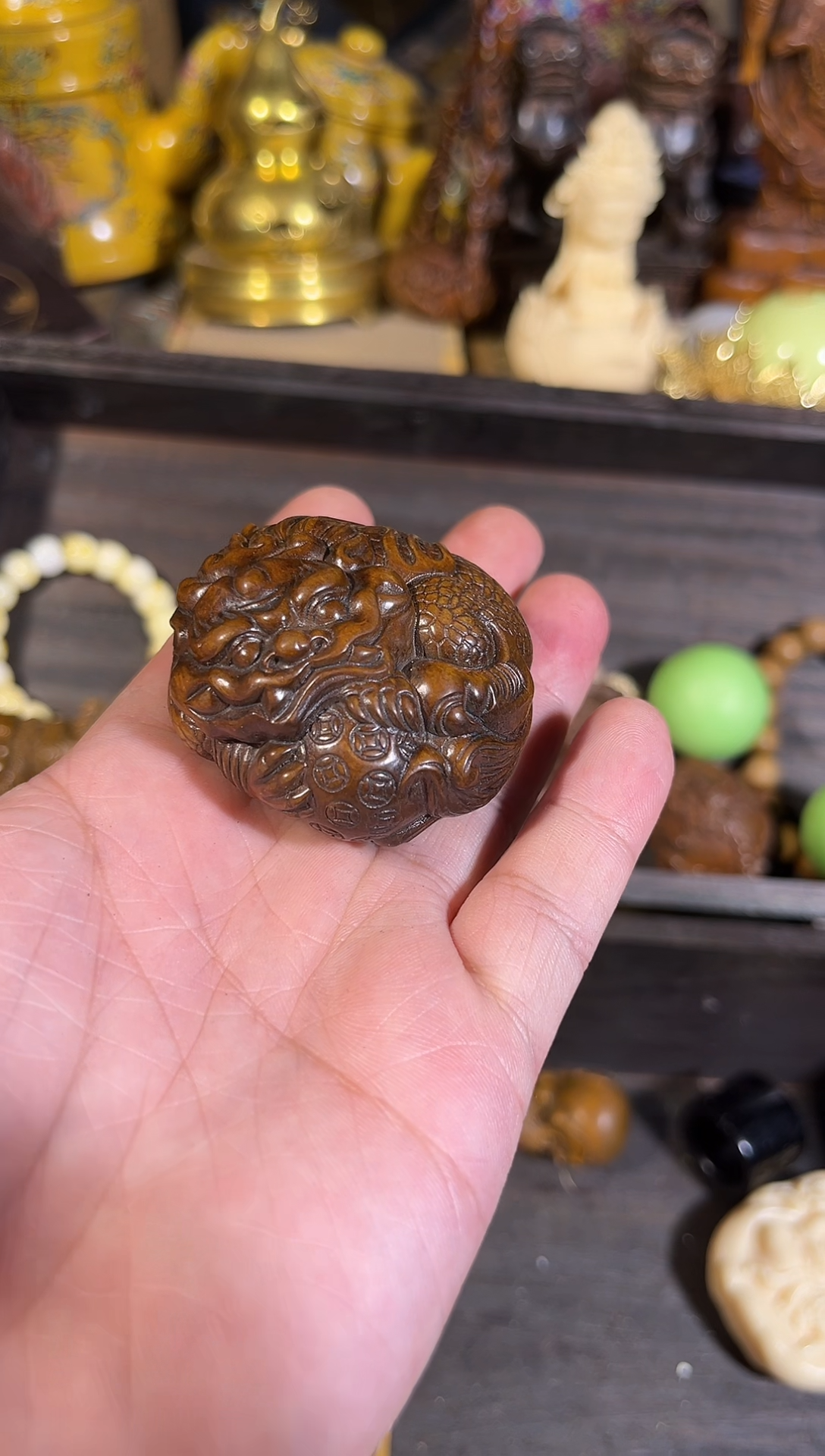 黄杨木11111111111111111111