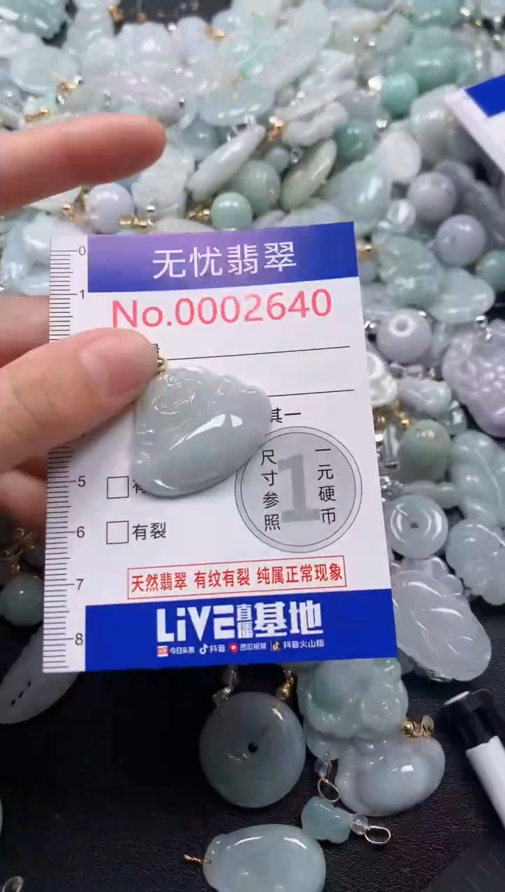 颈饰未镶嵌翡翠2640