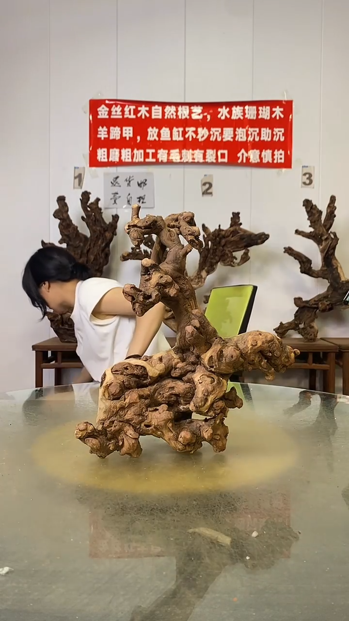 香榧木?****❥金丝红木   羊蹄甲