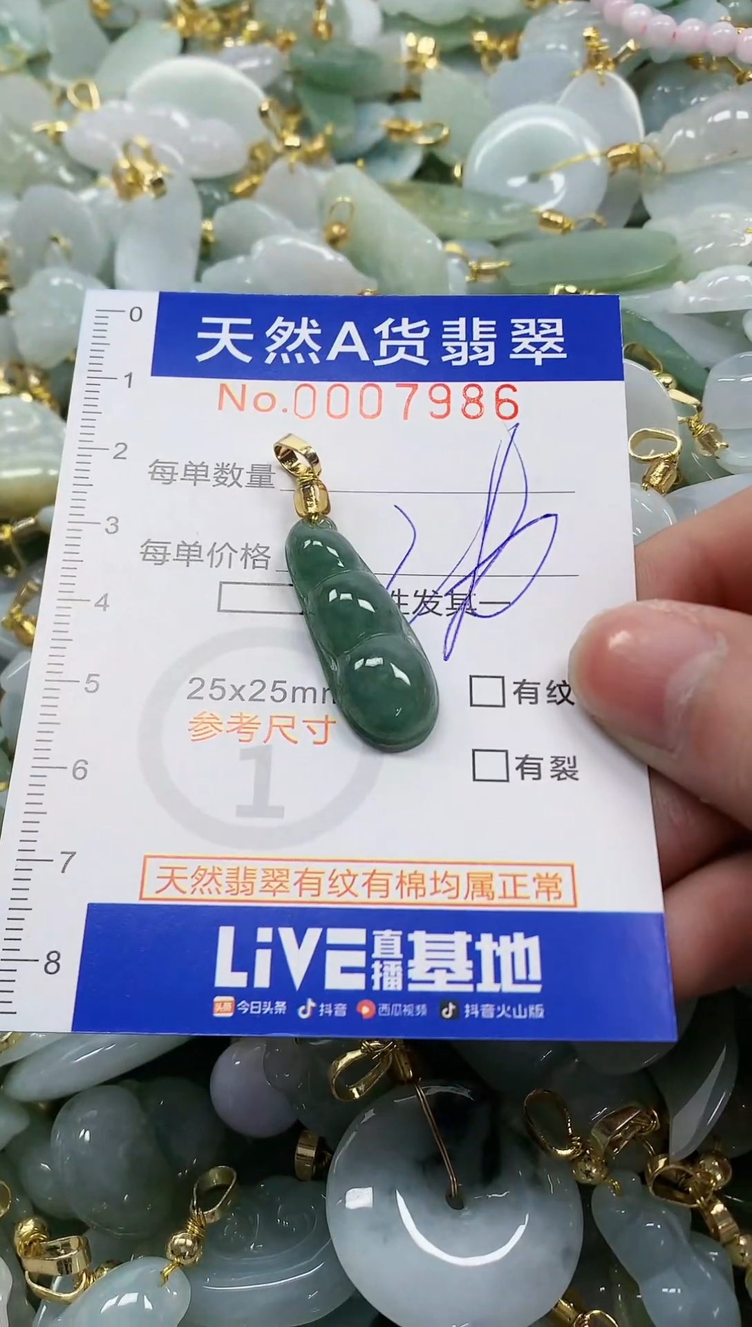 颈饰未镶嵌翡翠纯天然a货翡翠