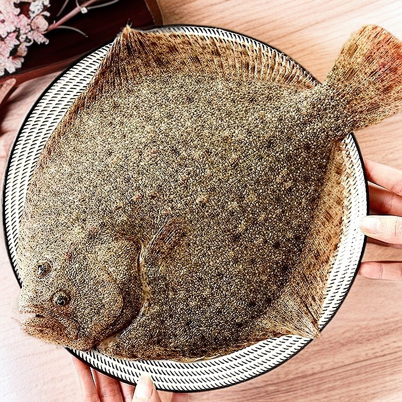 【精选大大号多宝鱼】每条1.5斤-2斤左右  新鲜活鱼 速冻锁鲜发货