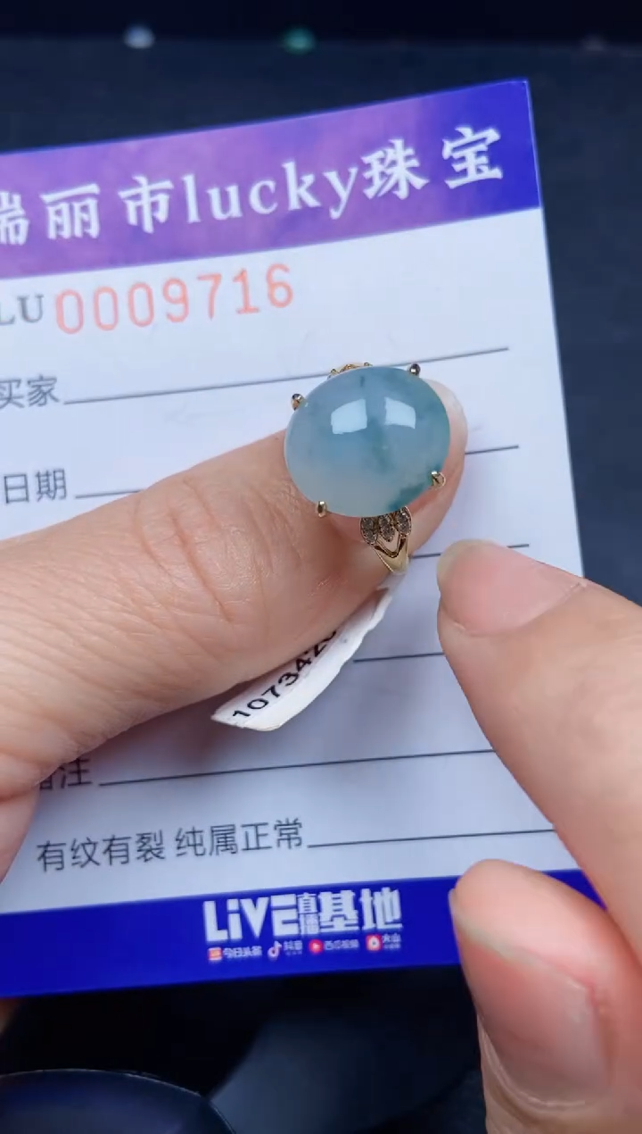 【闪购商品】翡翠颈饰银S925镶嵌9716