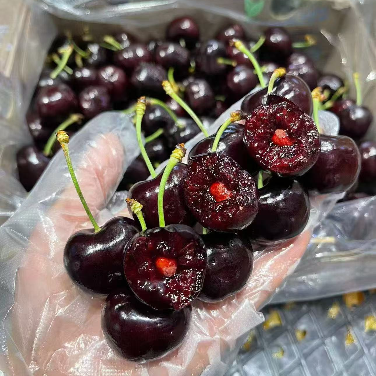 海运智利车厘子 JJJ 2500克智利