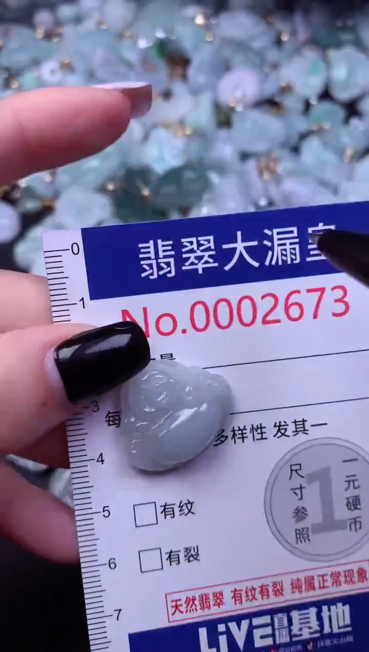 颈饰未镶嵌翡翠2673