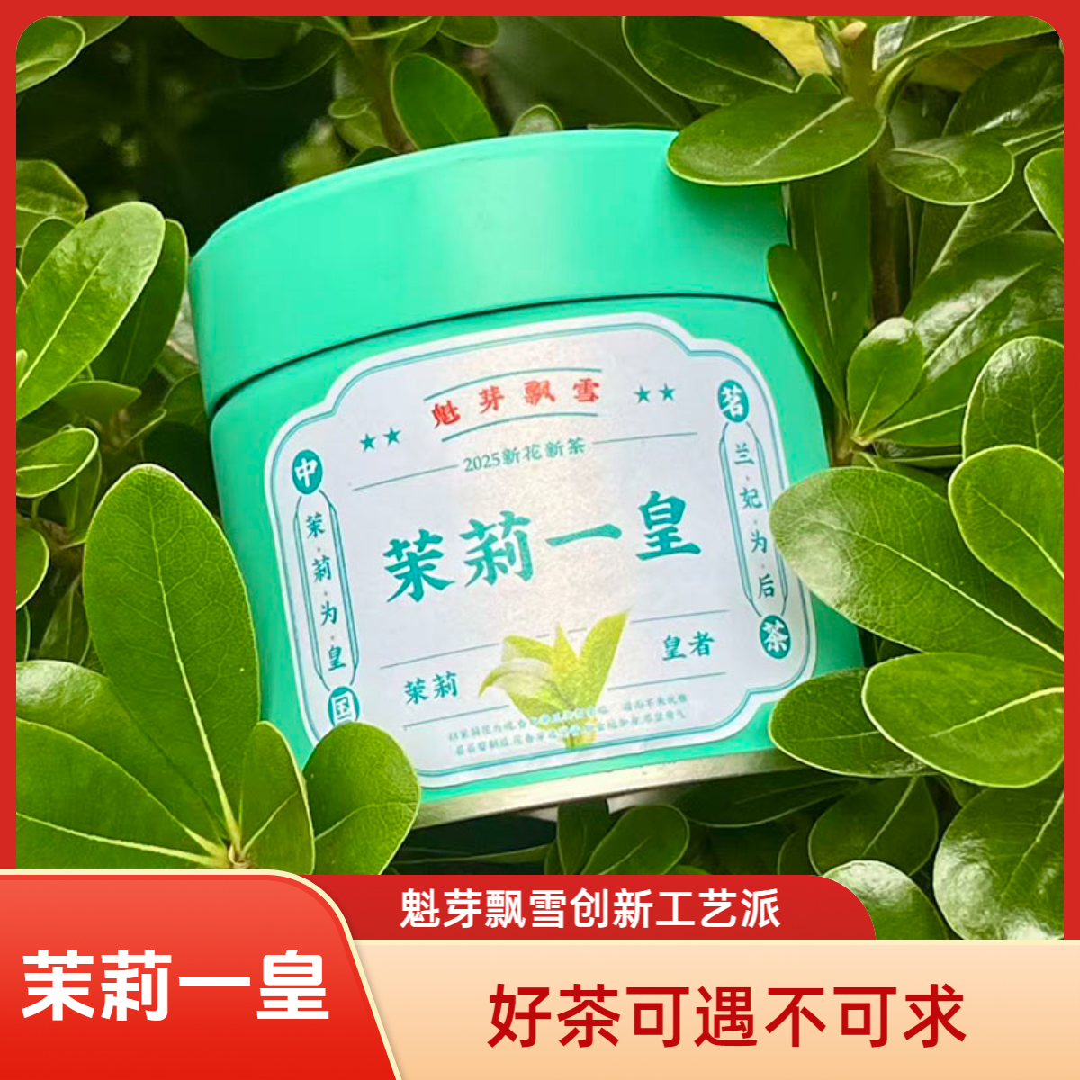 【茉莉一皇】创新茉莉针王  川派工艺复刻福州茉莉冰糖韵 20g