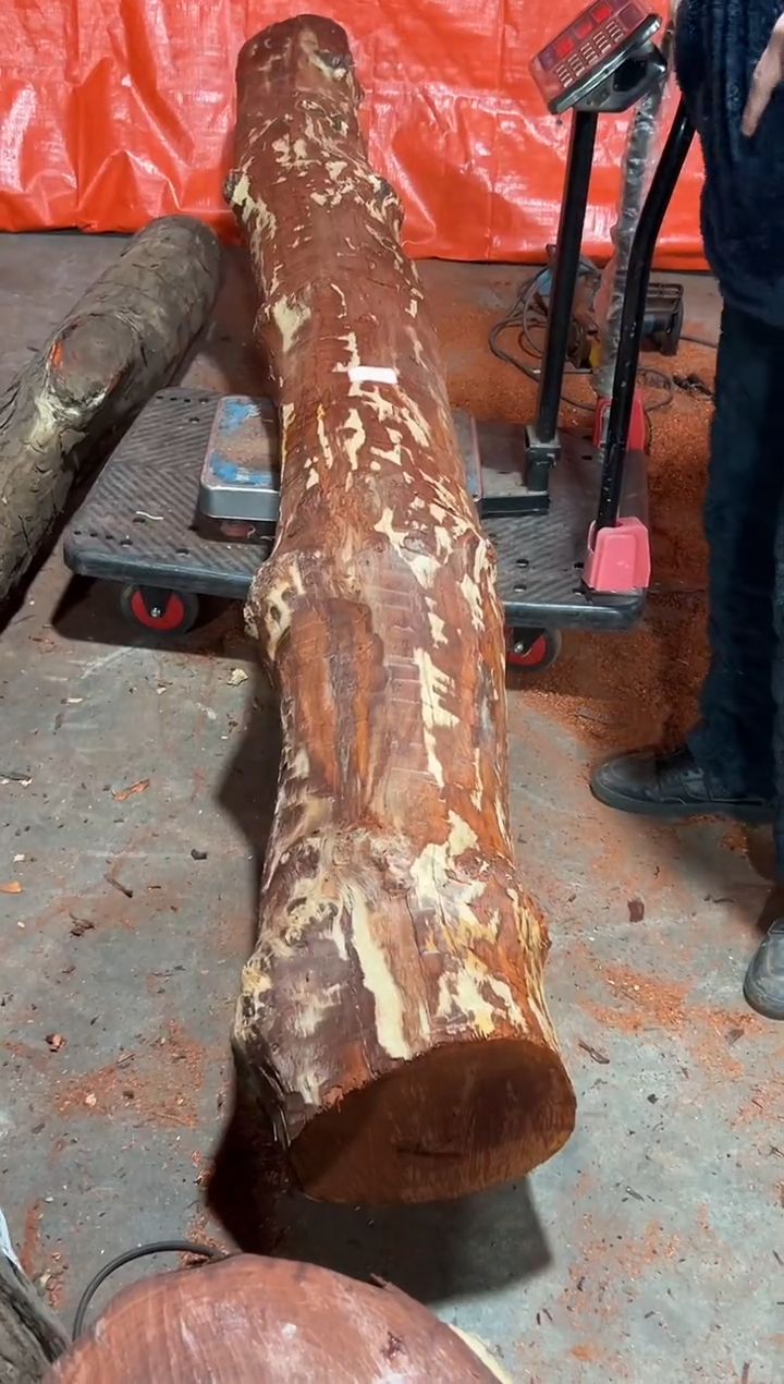 紫檀木类端景台实**济赞比亚血檀 非洲紫檀