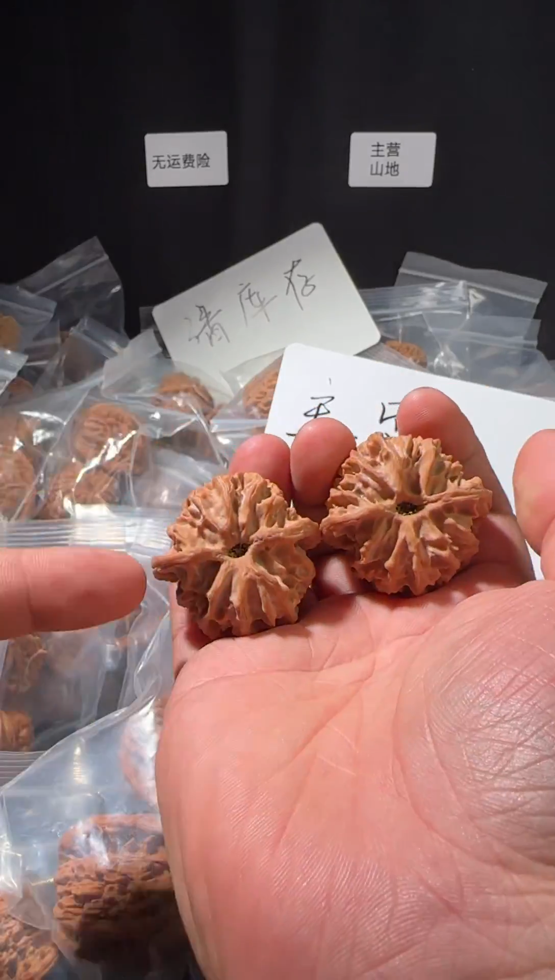 吊坠文玩核桃苹果园无药