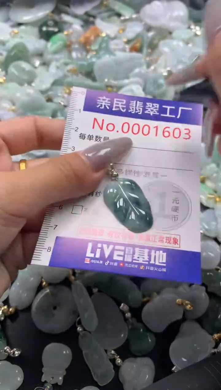颈饰未镶嵌翡翠1603
