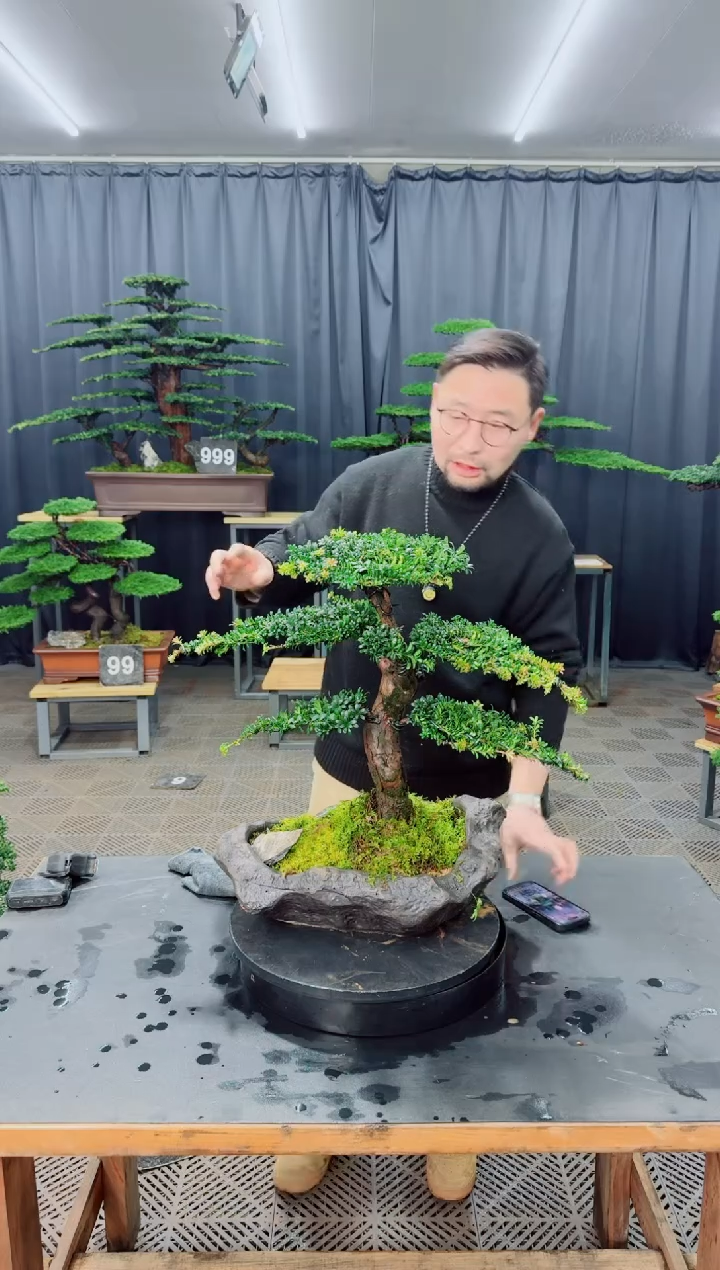 无花朵j*e盆景.....