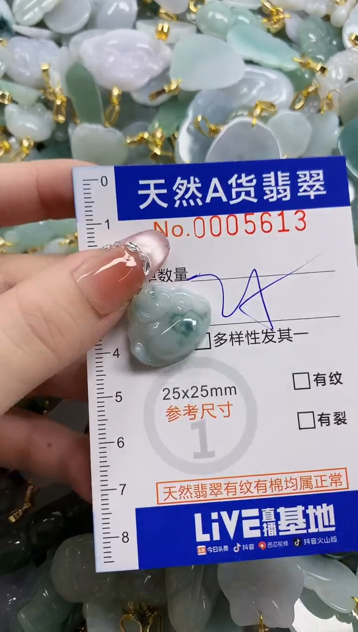 颈饰未镶嵌翡翠天然A货翡翠