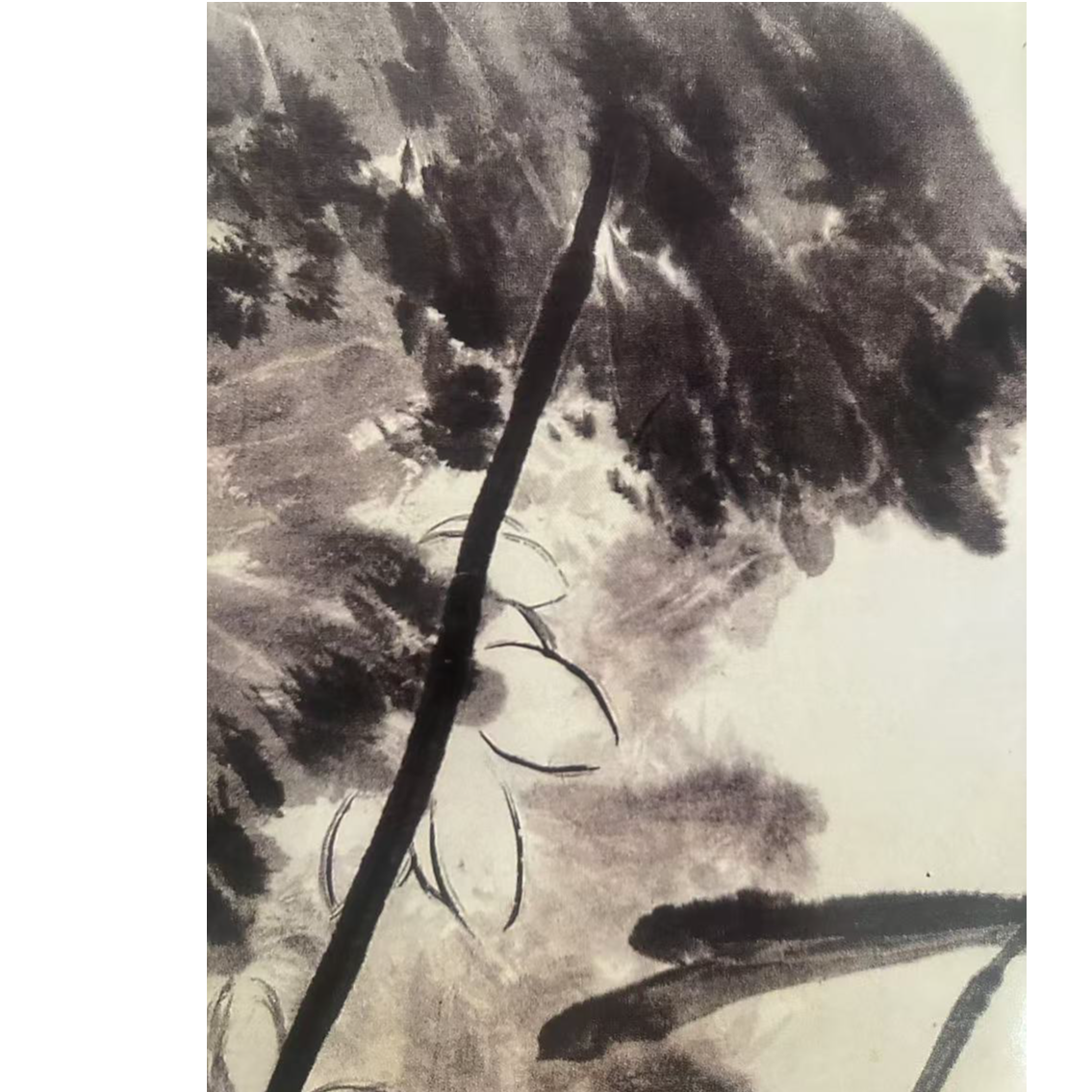 刘怀勇教授花鸟直通车（大课稿）