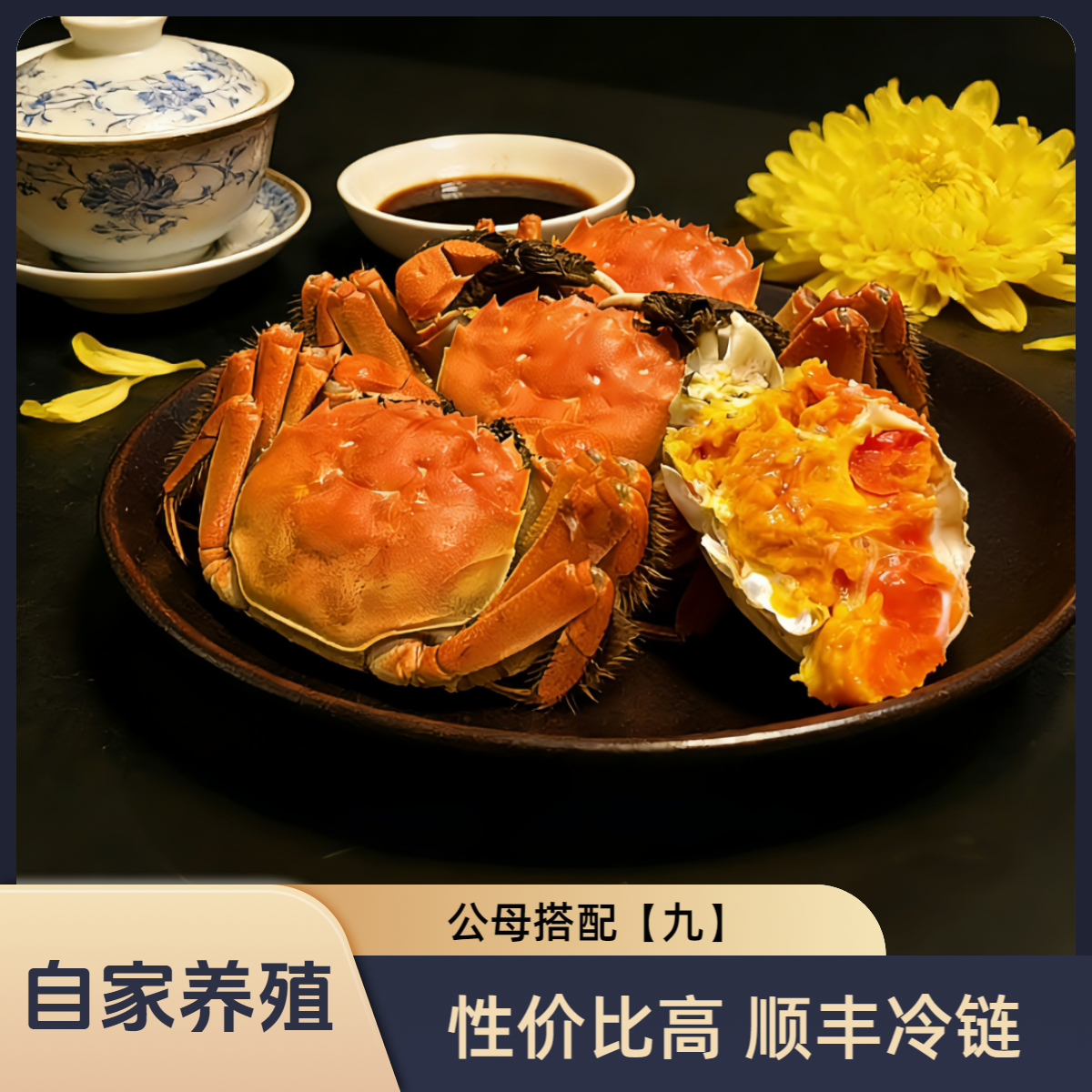 宠粉福利【活蟹】钱将军大闸钱微瑕3-3.5斤大闸蟹9-12只公3.5两+母2.5两|去绳净重顺丰包邮