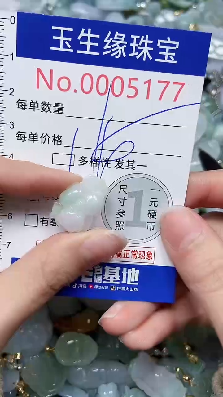 【闪购商品】翡翠颈饰未镶嵌闪购00005177