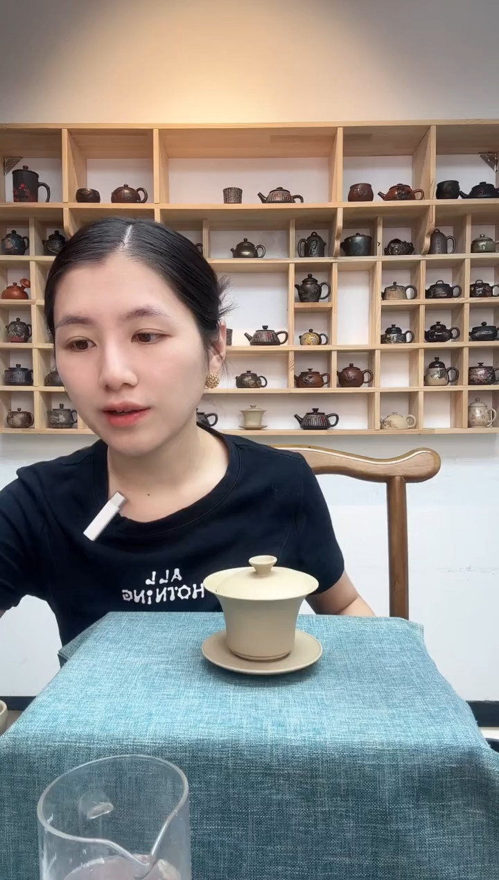 用****3星月玩壶建水紫陶