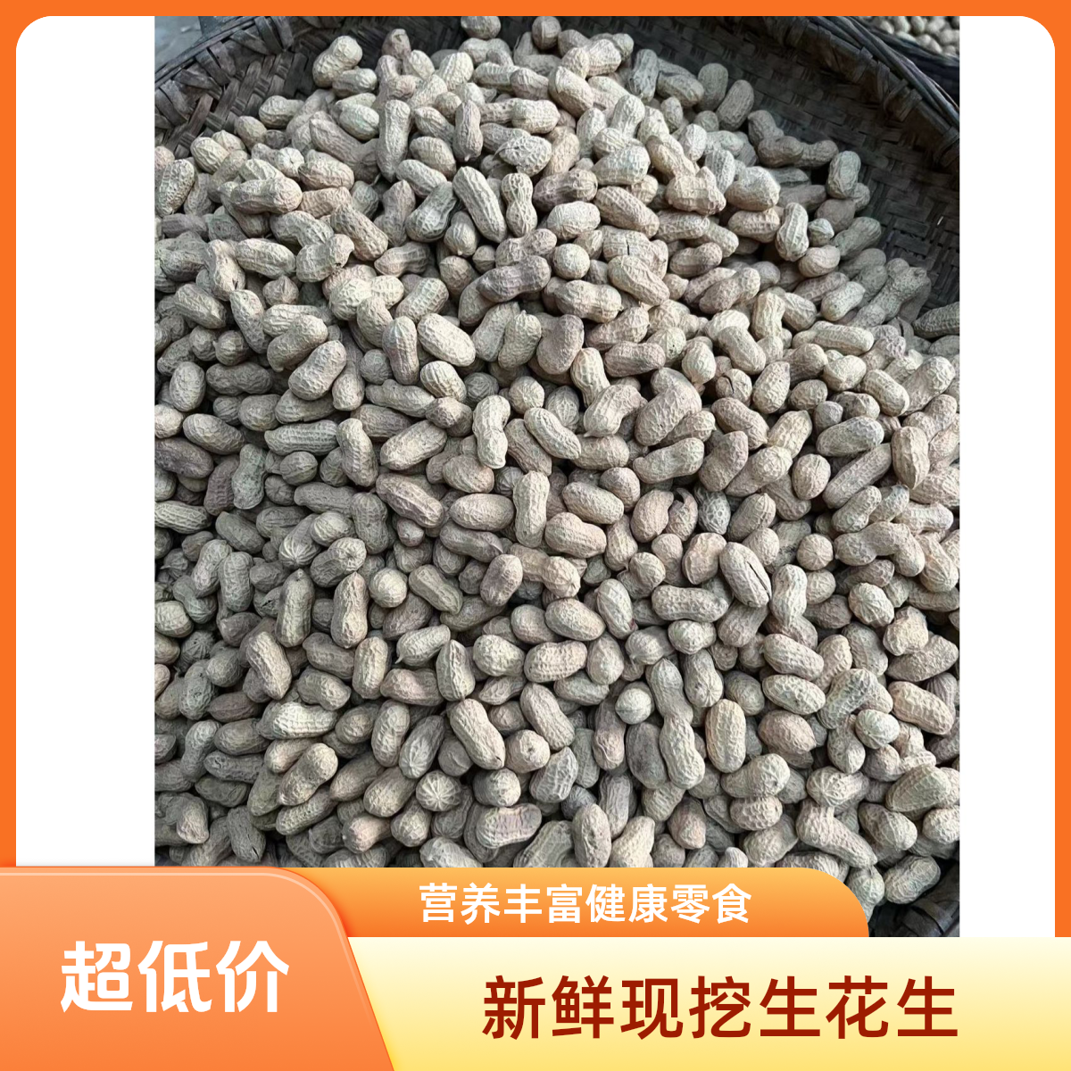 【净重2斤生花生】带壳坚果农家（生）干花生可吃可种新鲜营养大颗粒