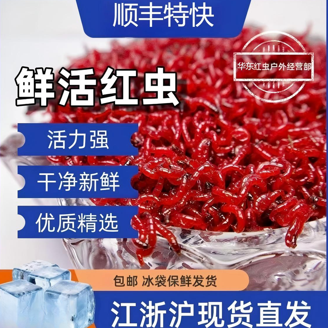 【拉饵中小号】净虫不带土/拉饵肉夹馍