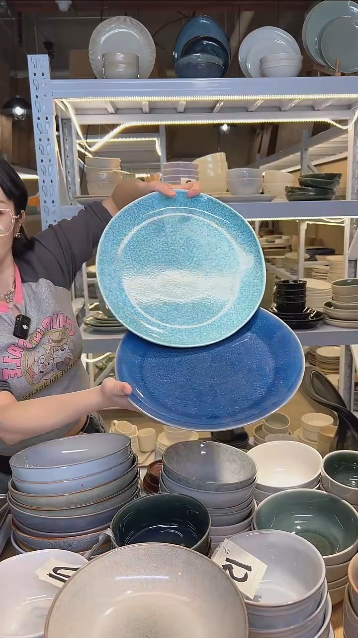 瓷02大盘鸡外贸尾货高温釉下彩陶瓷餐具