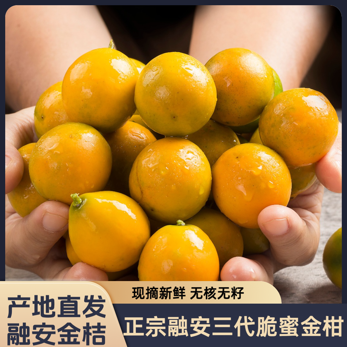 【产地直发】正宗融安金柑三代脆蜜金柑现摘水果 融安金桔 纯甜无酸