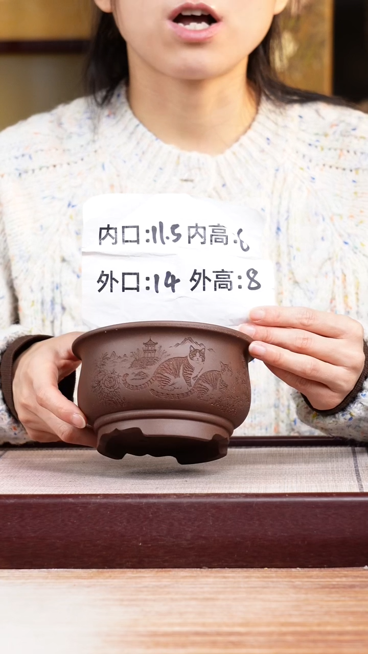 紫砂花盆紫泥刻绘猫咪迷你矮圆盆一只无托