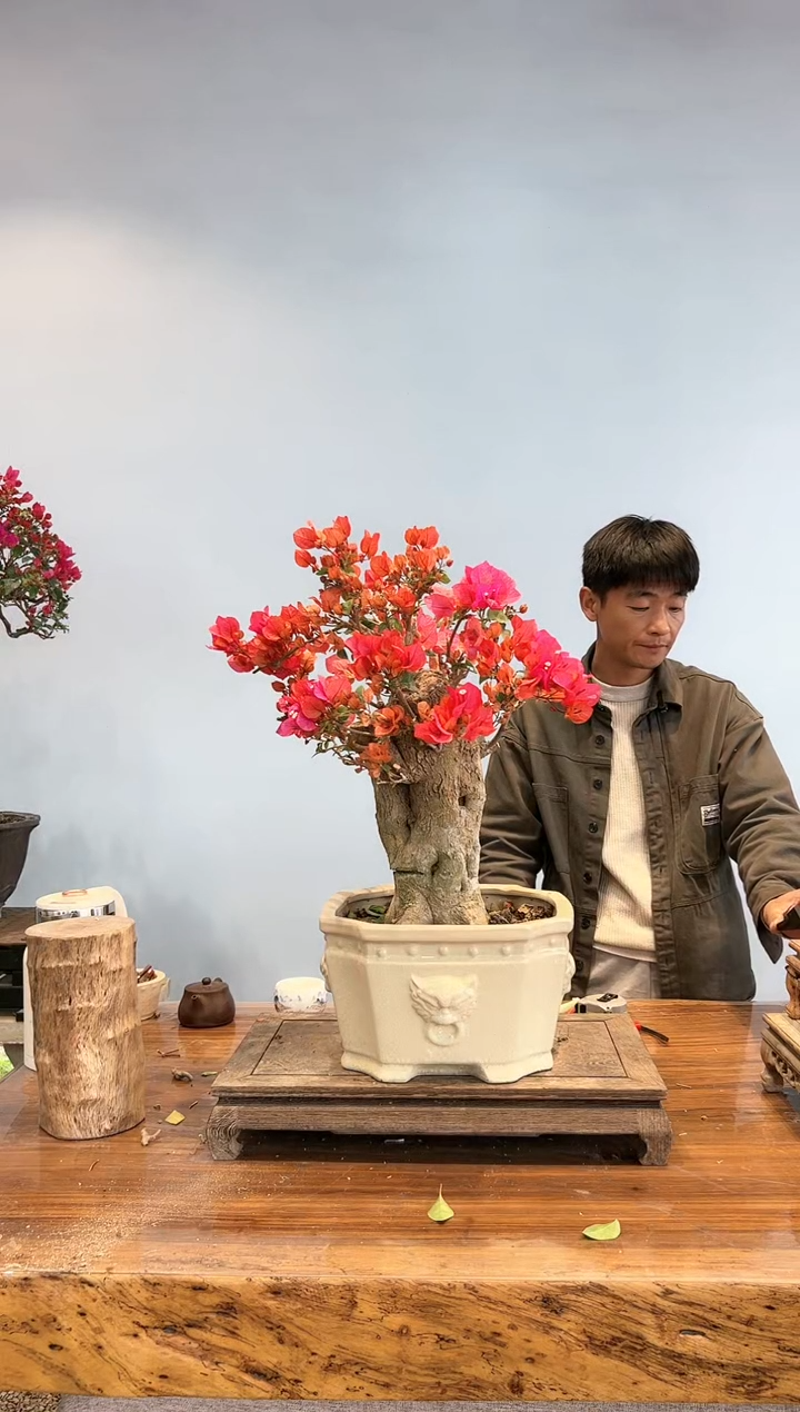 【闪购商品】AA931