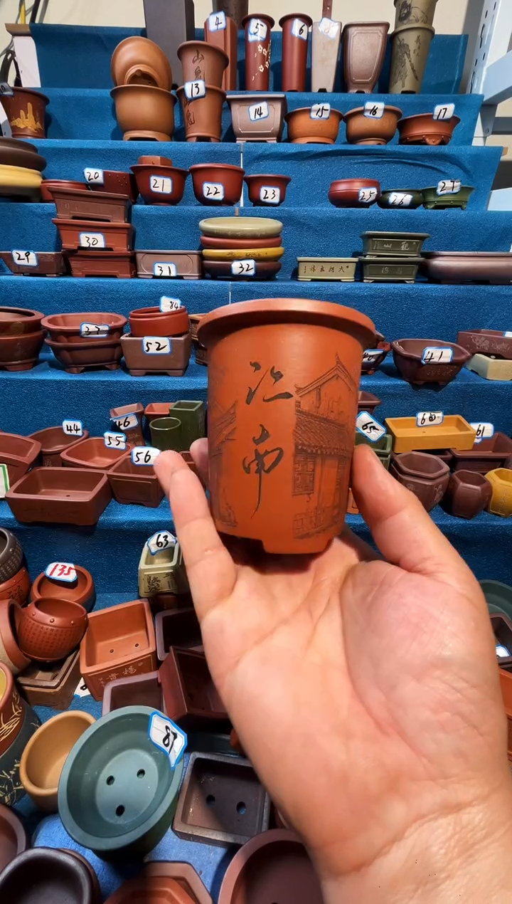 【闪购商品】紫砂紫砂花盆6.5*9