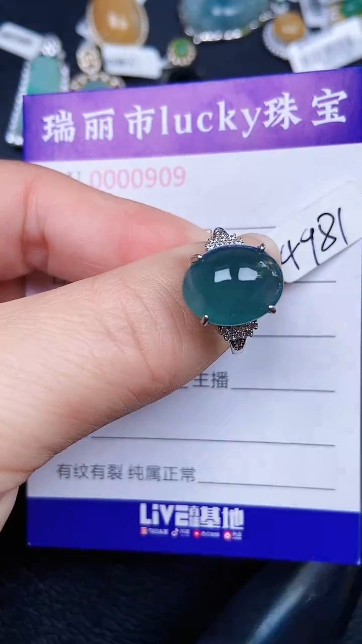 颈饰银S925镶嵌翡翠909