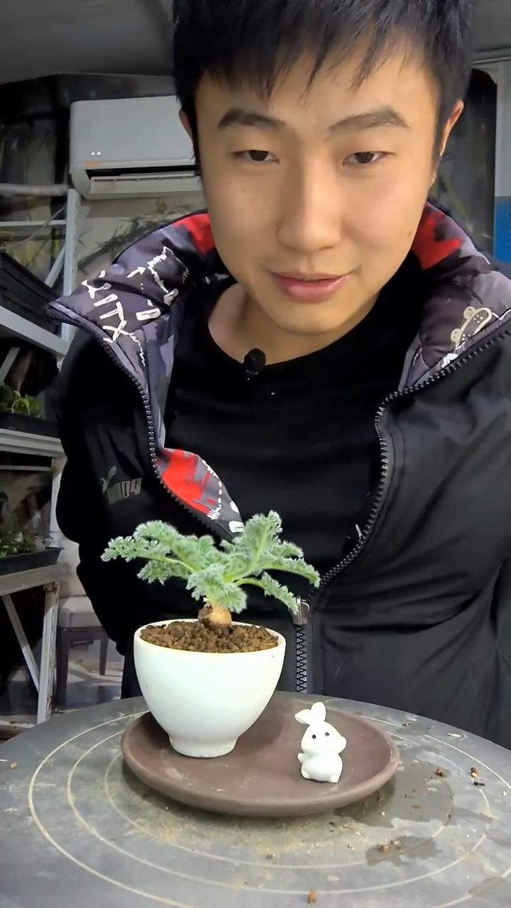 小***屋中青园艺一物一拍花414