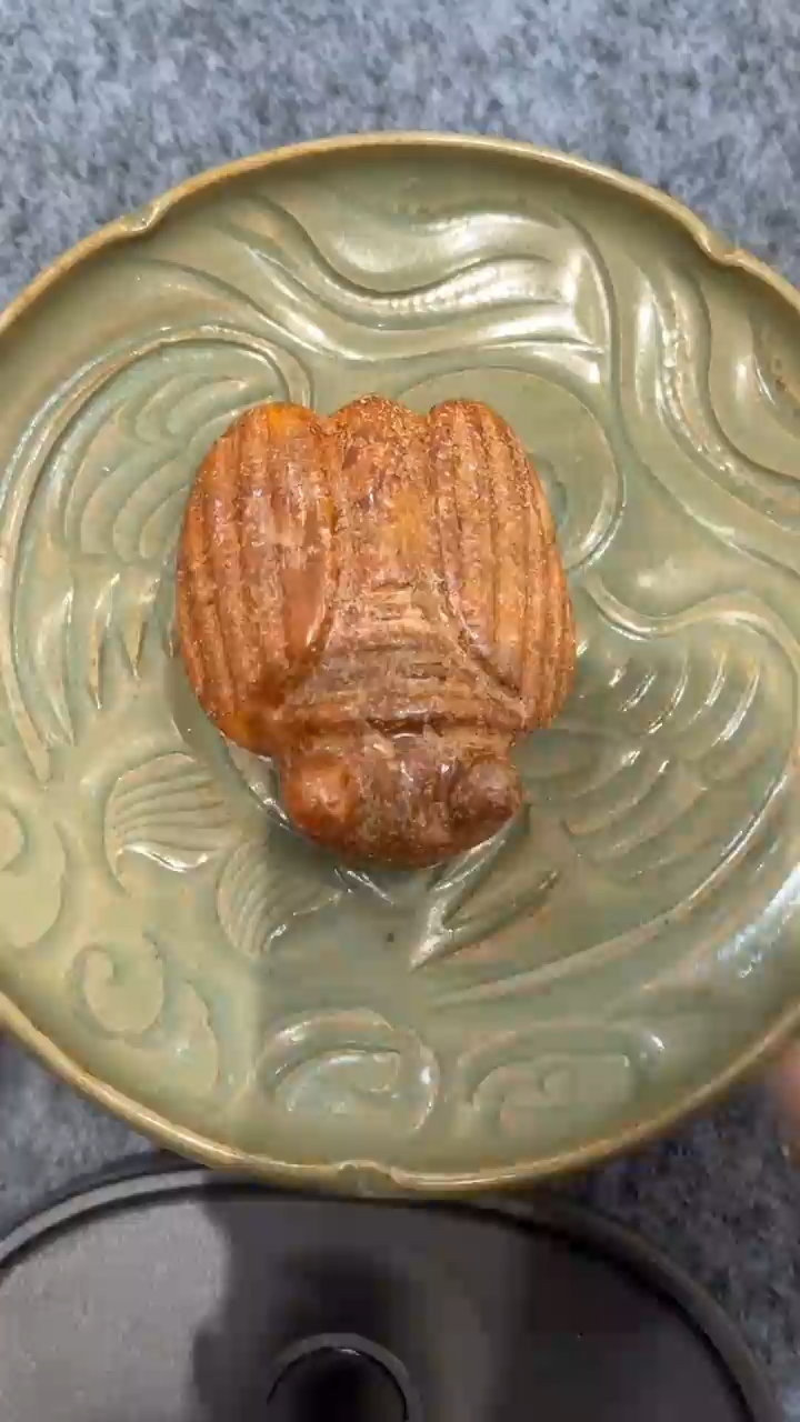 【闪购商品】罐瓷器8888888888888888