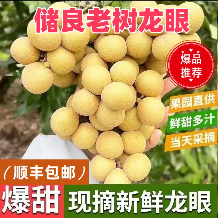 【顺丰包邮】储良老树龙眼多仓发货应季果园产地现摘现发广东次日达