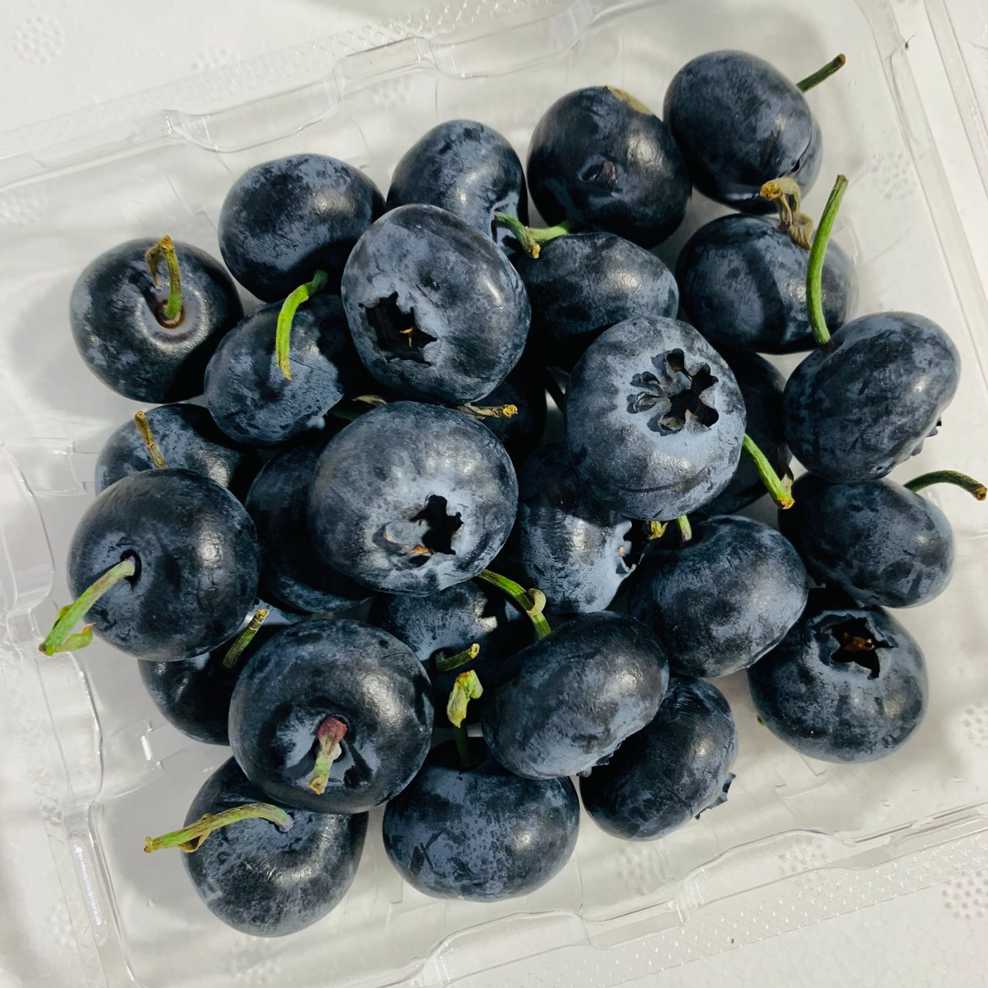 迷迭蓝蓝莓~ 12盒