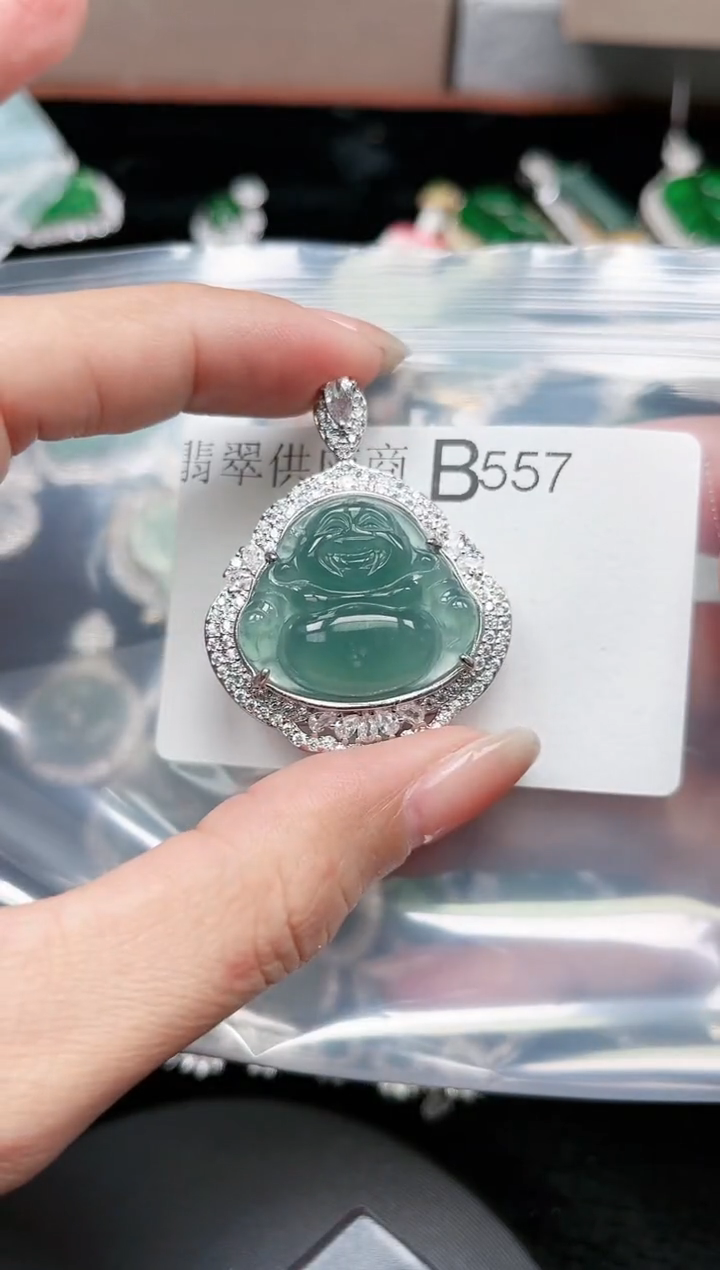 【闪购商品】翡翠颈饰未镶嵌557赠皮绳