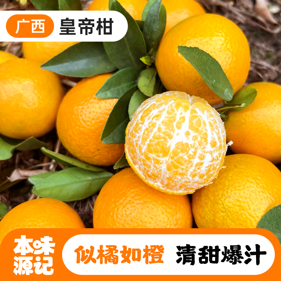 正宗广西皇帝柑皮薄汁多好剥生态种植果园新鲜柑橘应季产地直发