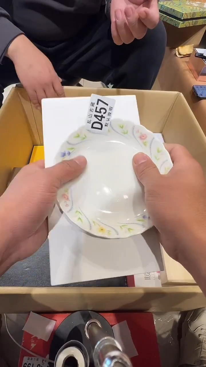 瓷片海*乱山瓷片D457