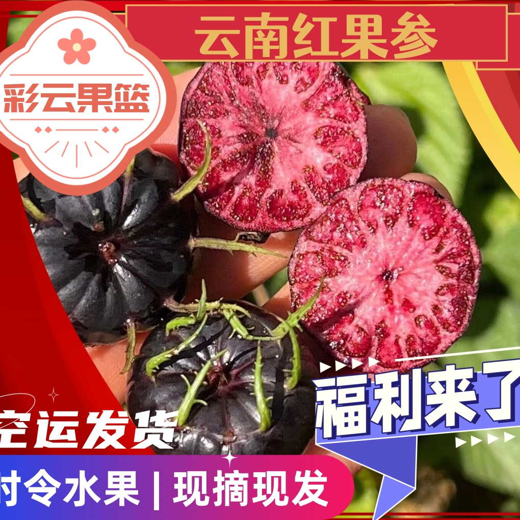 【空运】云南高山时令稀有水果 红果参 产地空运直发  现摘现发