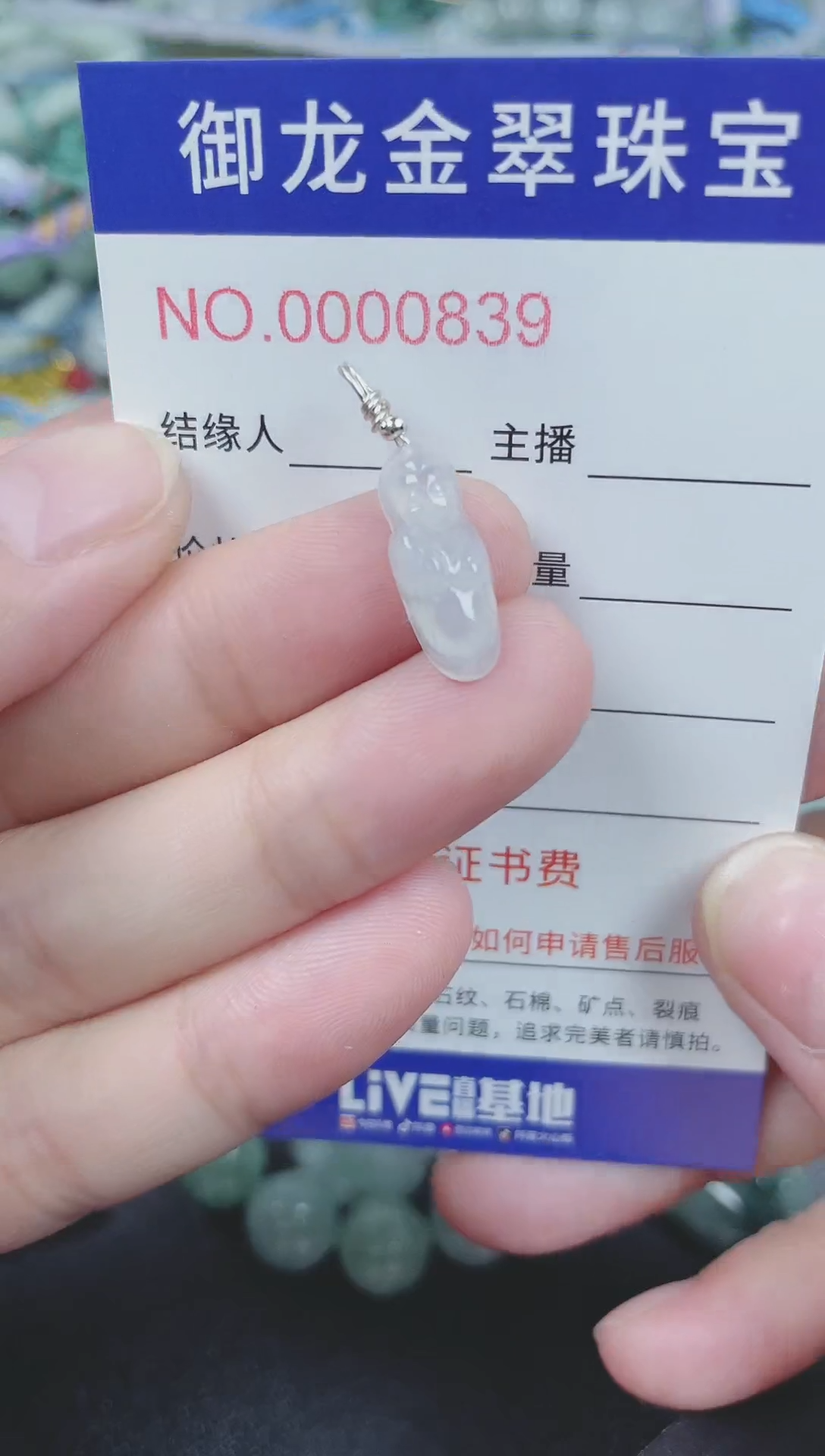 翡翠未镶嵌颈饰158