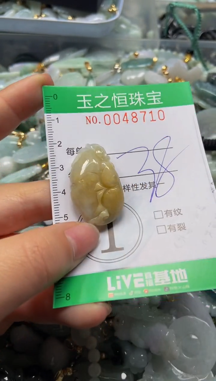 【闪购商品】翡翠颈饰未镶嵌闪购0048710