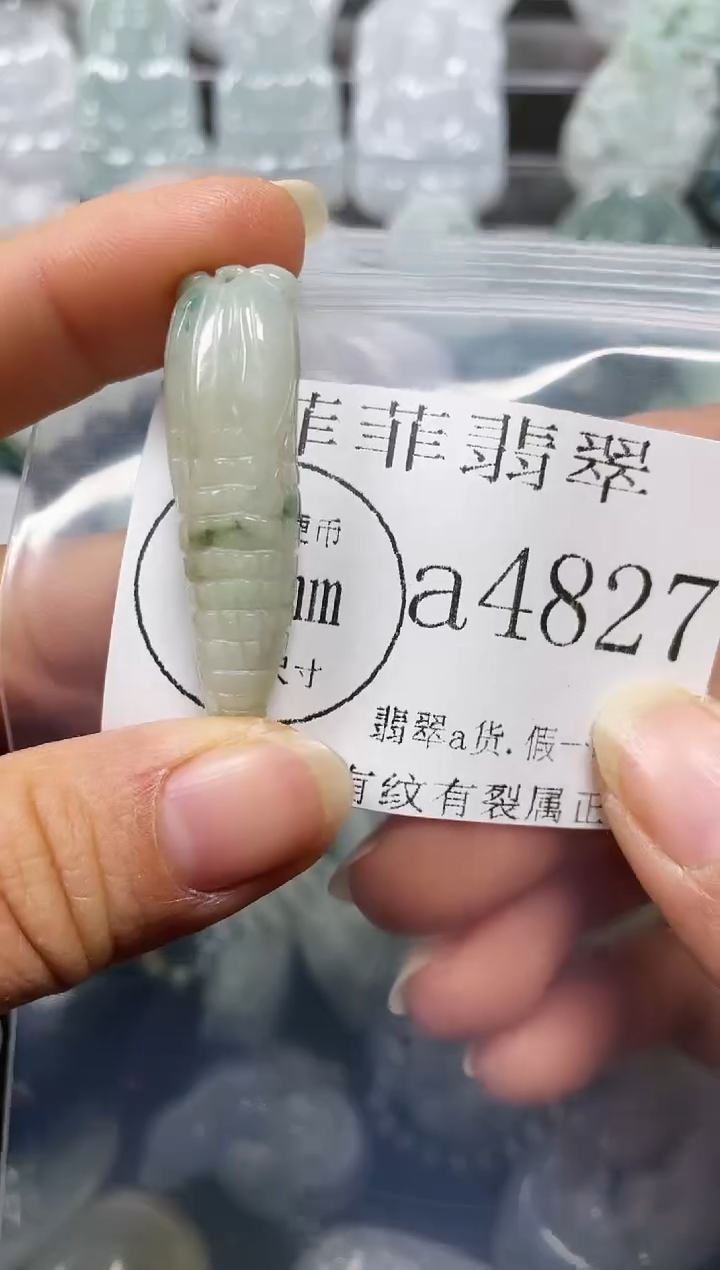 【闪购商品】翡翠颈饰未镶嵌闪购4827