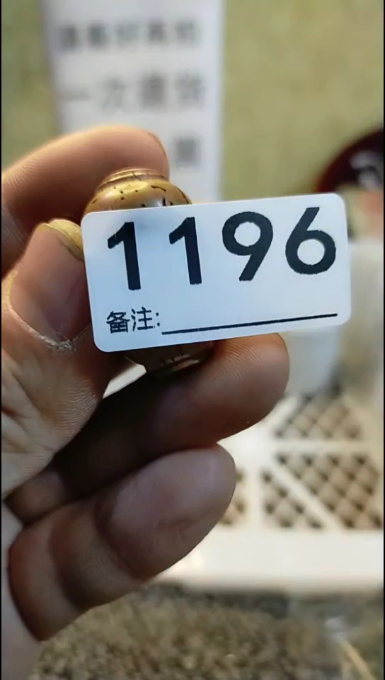 享**由纪年坊杂项甄选专属链接