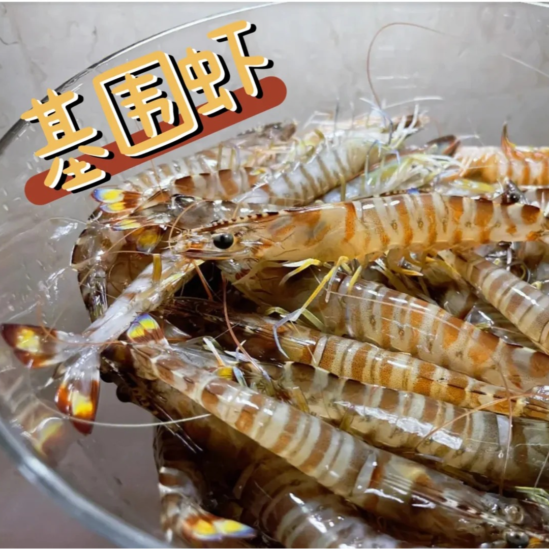 【基围虾】 70%以上鲜活（每斤60头左右）基围虾九节虾