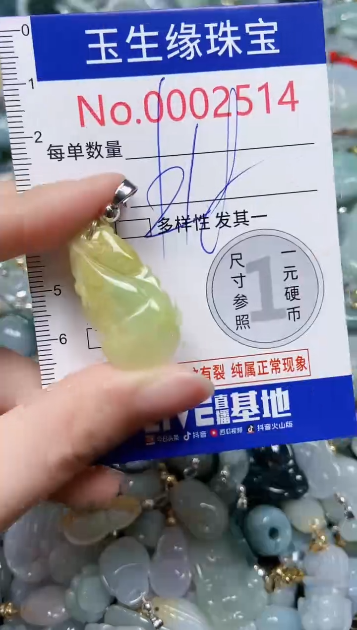 【闪购商品】翡翠颈饰未镶嵌闪购00002514