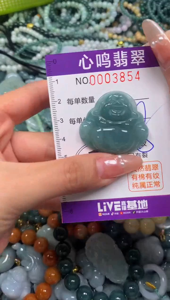 颈饰未镶嵌翡翠闪购003854