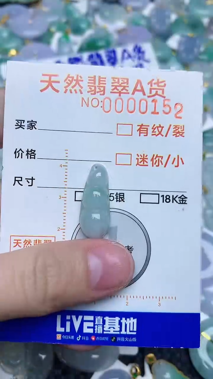 【闪购商品】翡翠颈饰未镶嵌453453453