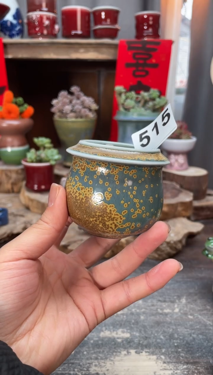【闪购商品】摆件515知木小芳花盆