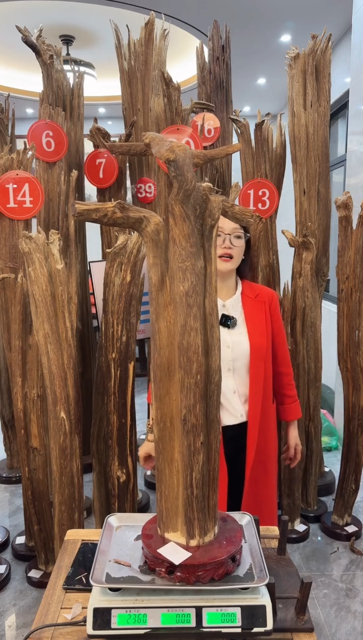 【闪购商品】沉香摆件沉香摆件15