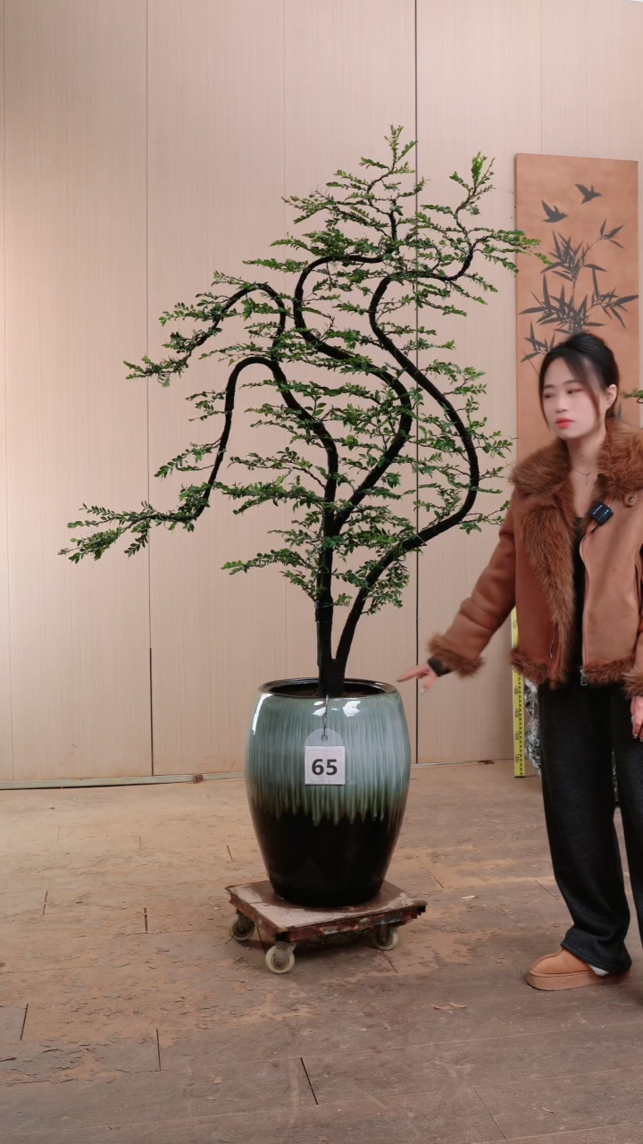 【闪购商品】65号链接