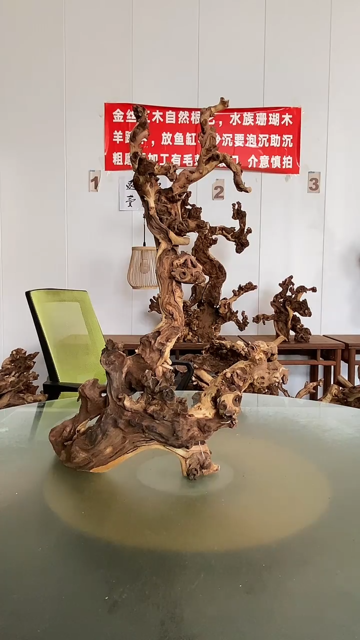 香榧木收****商金丝红木 羊蹄甲